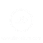 Logo for Riley Leisure, a client of Anthony Tierney